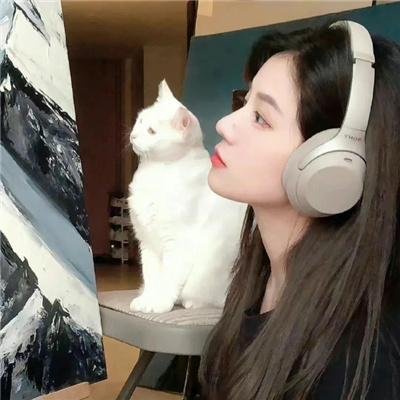 第二模式