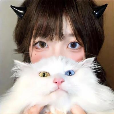 灵域第四季