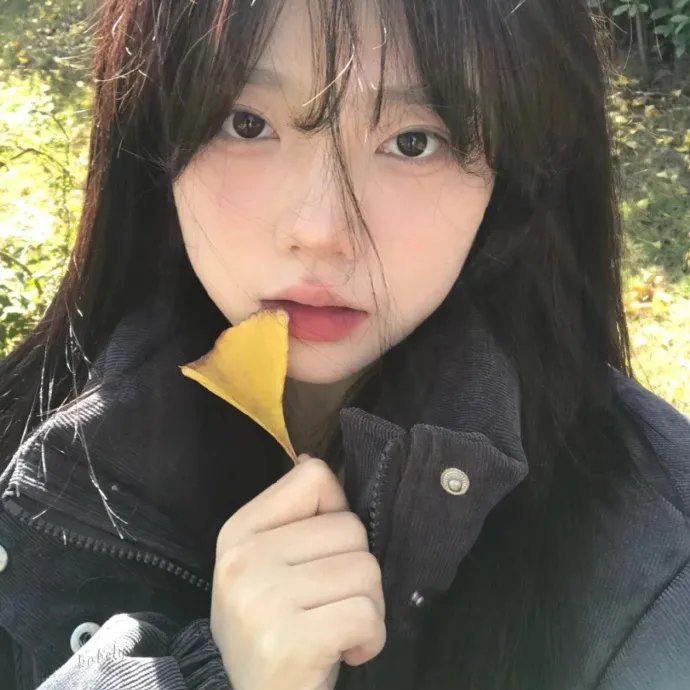 梦寻桃花源